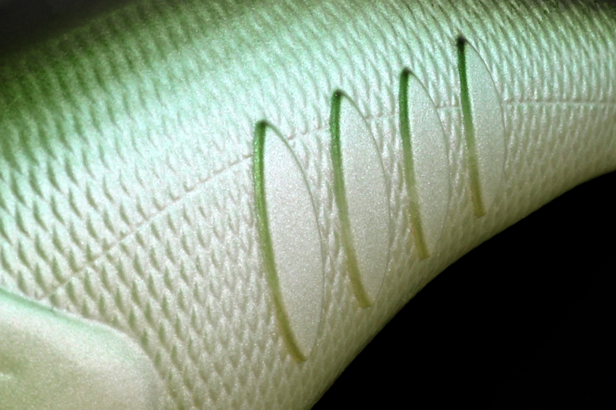 f:id:basssoku:20210210211237j:plain