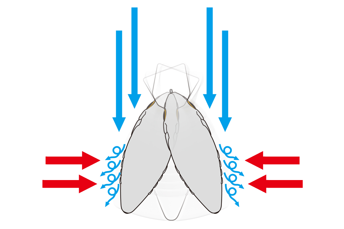 f:id:basssoku:20210210211259j:plain