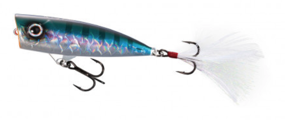 f:id:basssoku:20210218000111p:plain