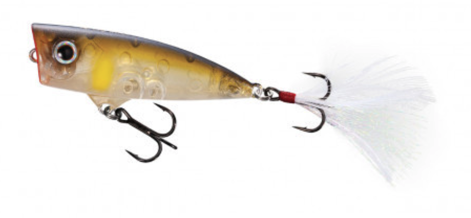 f:id:basssoku:20210218000126p:plain