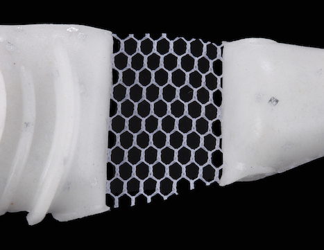 f:id:basssoku:20210313151414j:plain