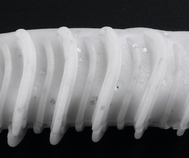 f:id:basssoku:20210313151514j:plain