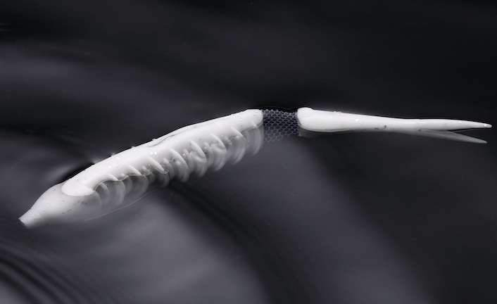 f:id:basssoku:20210313151555j:plain