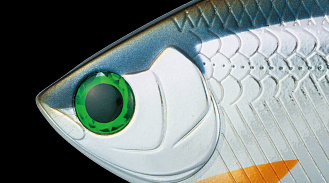 f:id:basssoku:20210411072437j:plain