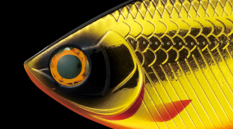 f:id:basssoku:20210411072519j:plain