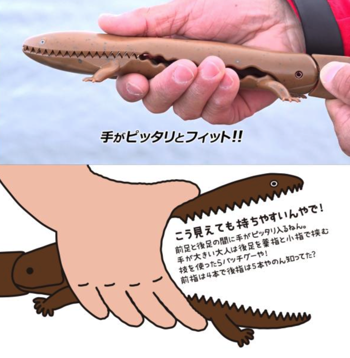 f:id:basssoku:20210412195943p:plain