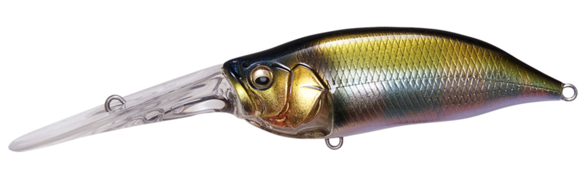 ①メガバス　IXI SHAD TYPE-R 16個 I x I SHAD TYPE-R | Megabass-メガバス