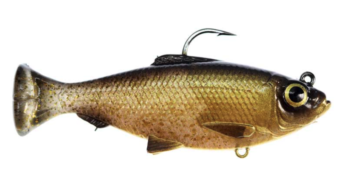 f:id:basssoku:20210424064251p:plain