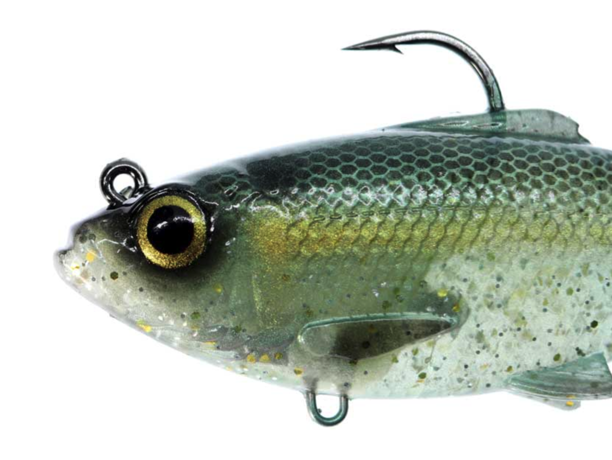 f:id:basssoku:20210424064338p:plain