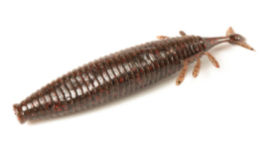 f:id:basssoku:20210604165326p:plain