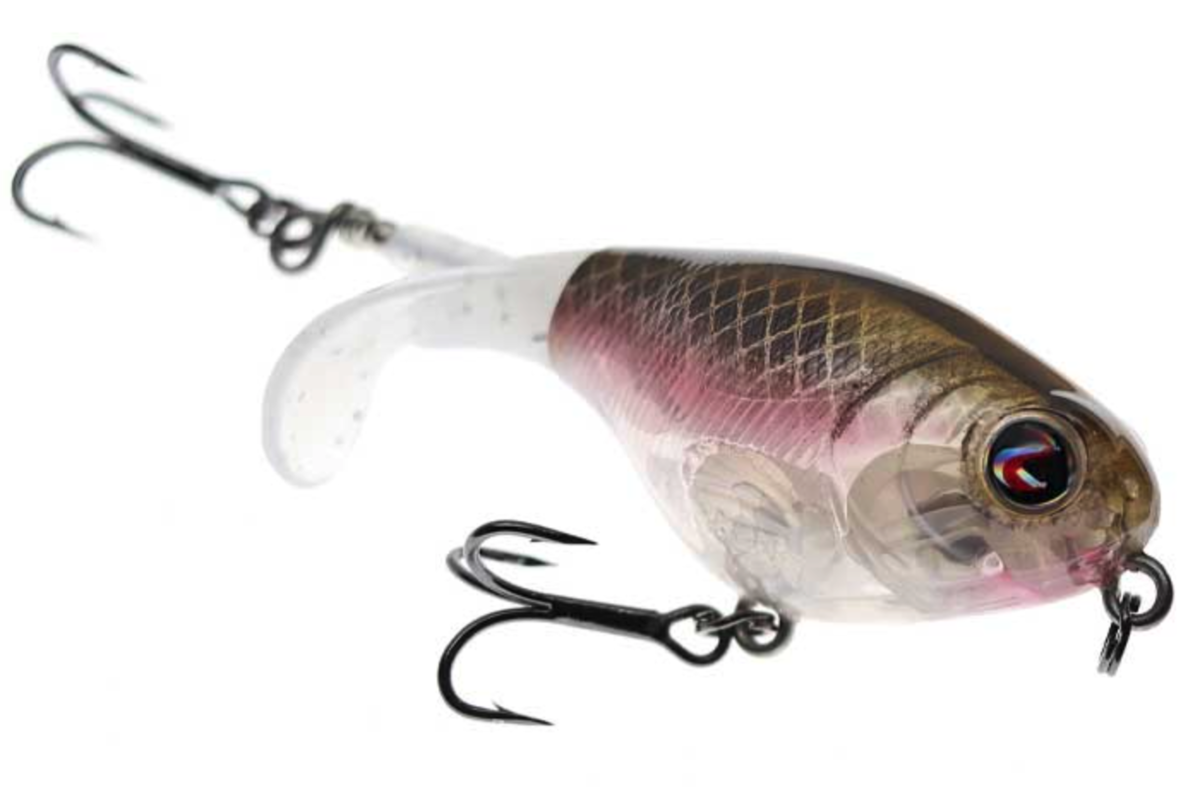 f:id:basssoku:20210607083338p:plain