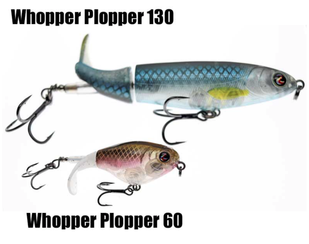 f:id:basssoku:20210607083547p:plain