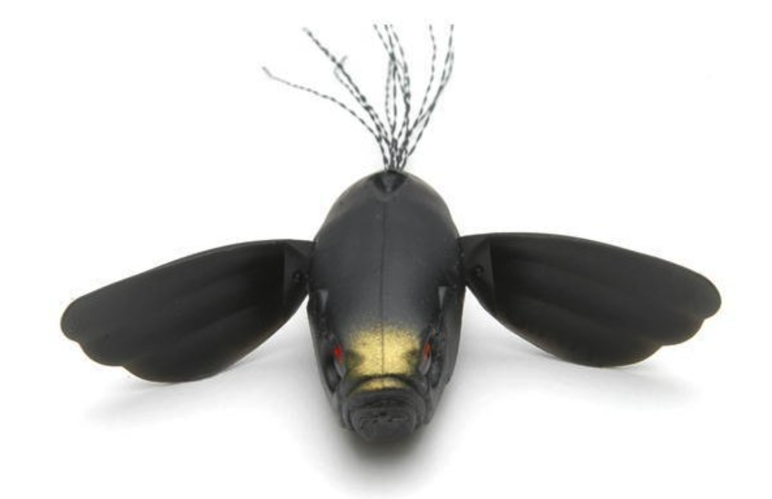 f:id:basssoku:20210730134008p:plain