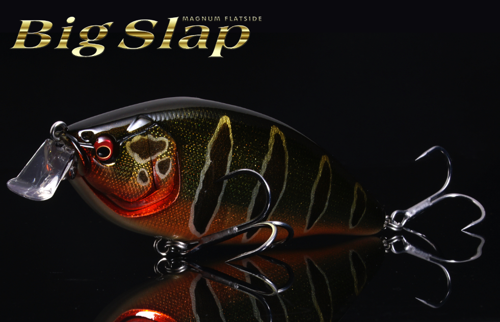 f:id:basssoku:20210731155853j:plain