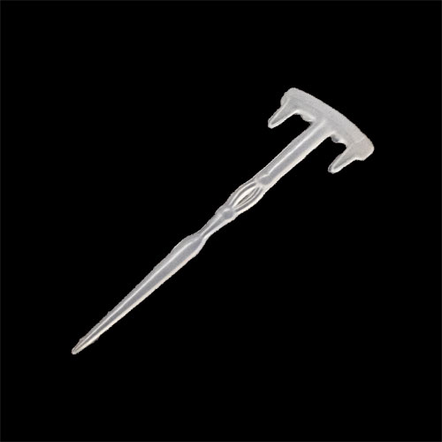 f:id:basssoku:20210814091613j:plain