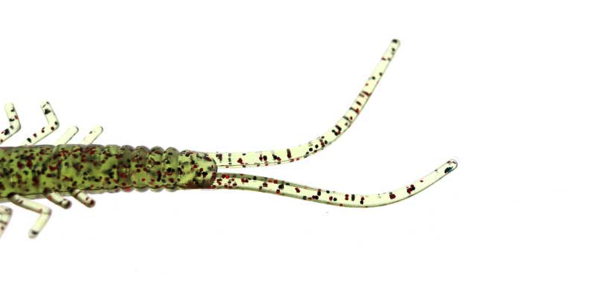 f:id:basssoku:20210816122708p:plain