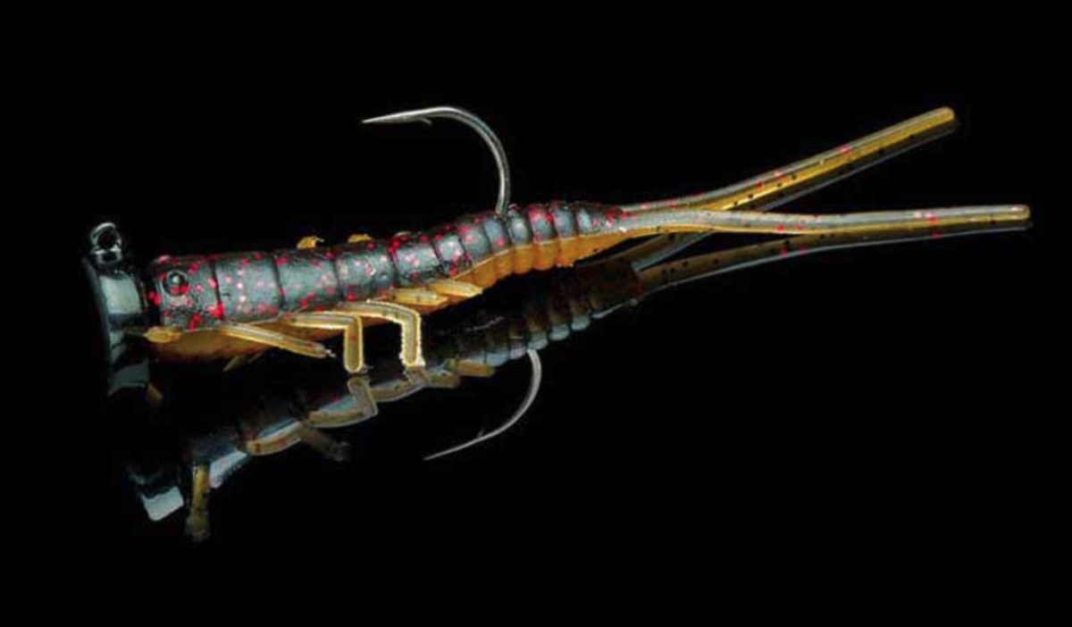 f:id:basssoku:20210816122732p:plain