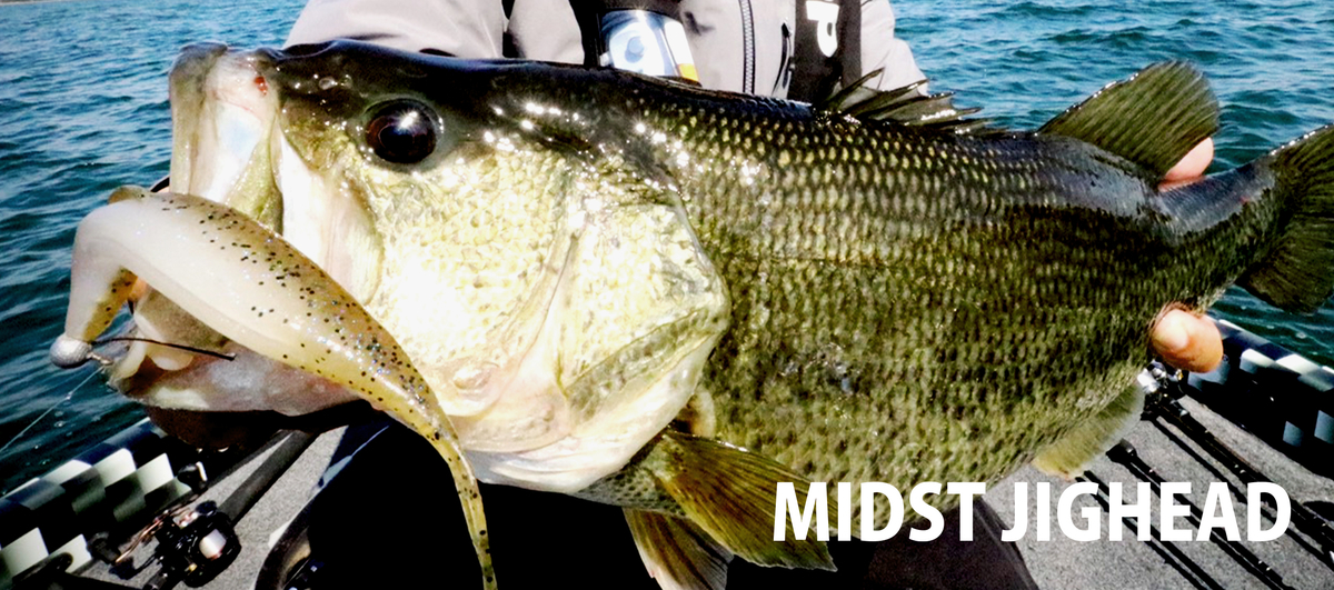 f:id:basssoku:20210822112620j:plain