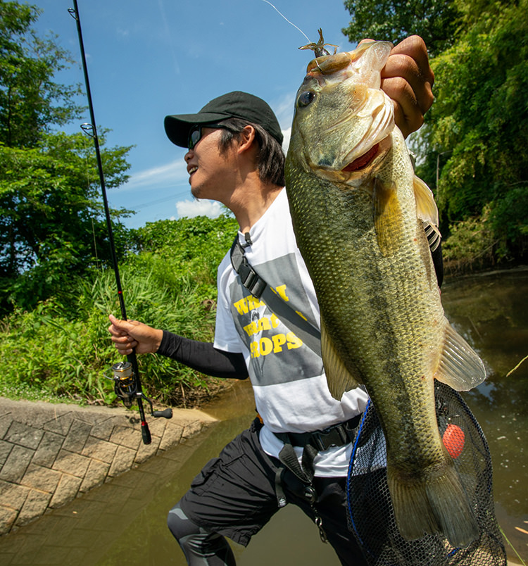 f:id:basssoku:20210907182920j:plain