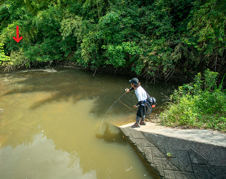 f:id:basssoku:20210907182954j:plain