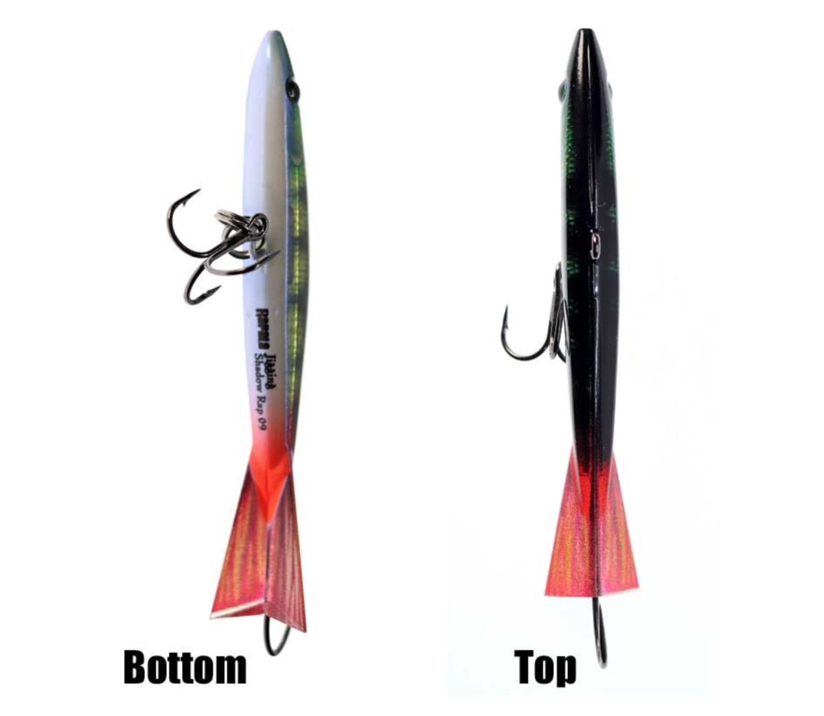 f:id:basssoku:20211110105202p:plain