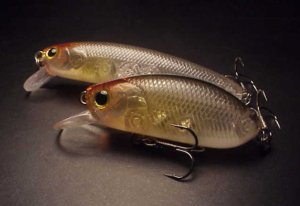 f:id:basssoku:20211218053754j:plain