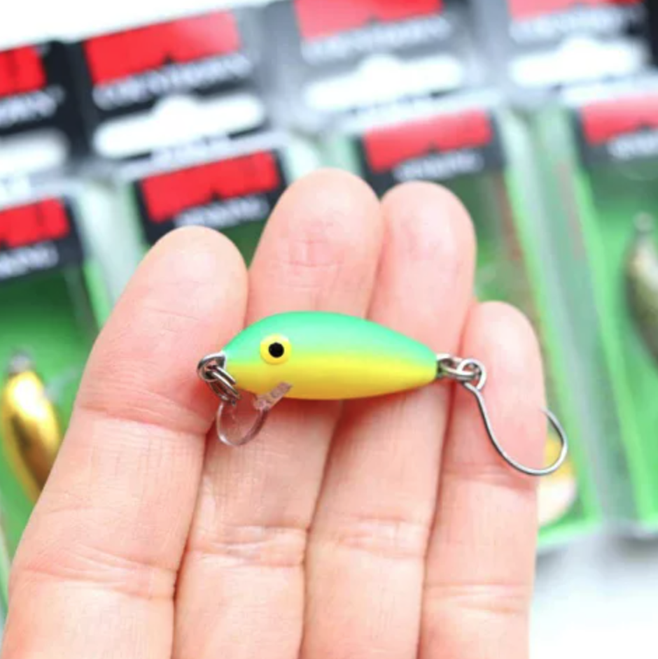 f:id:basssoku:20220215052303p:plain