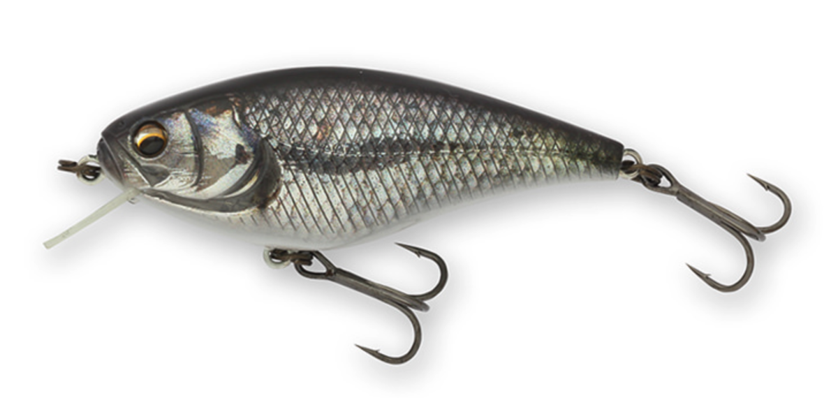 f:id:basssoku:20220307111412p:plain