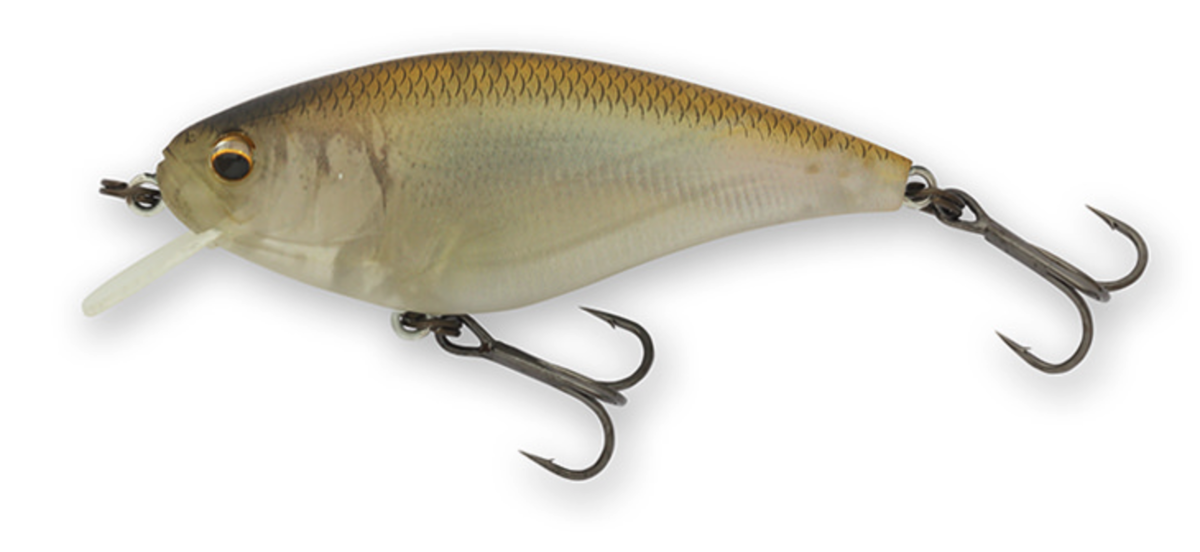 f:id:basssoku:20220307111427p:plain