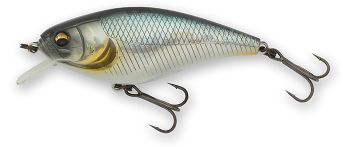 f:id:basssoku:20220307111443p:plain