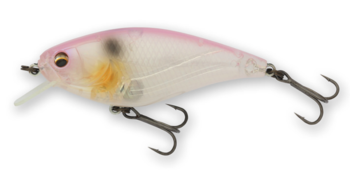 f:id:basssoku:20220307111456p:plain