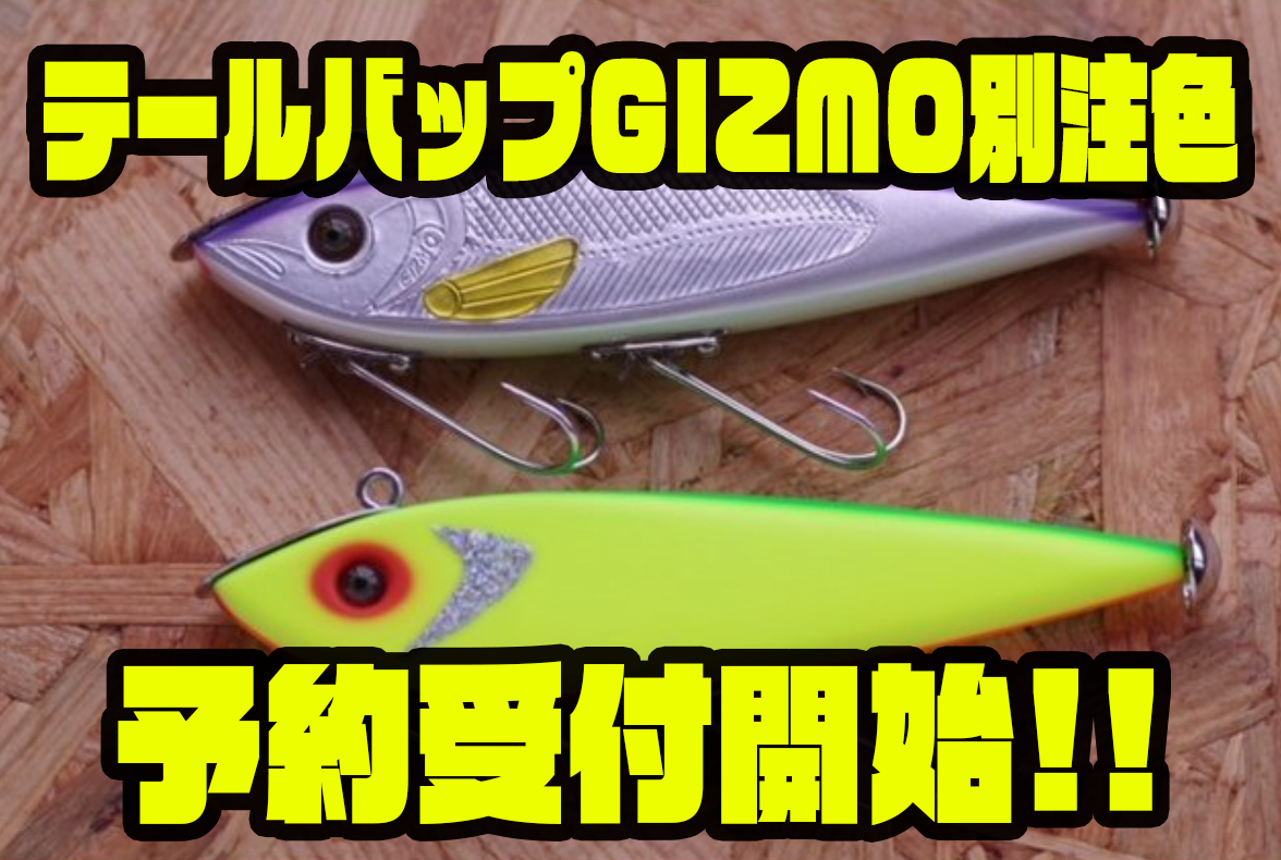 TailBop テールバップ NEWS