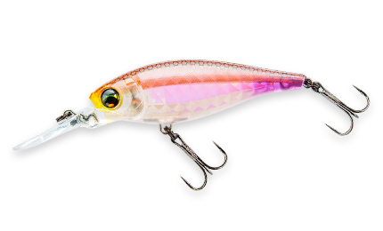 デュエル】万能シャッドプラグ「L-バスシャッド」発売！ - バス釣り速報