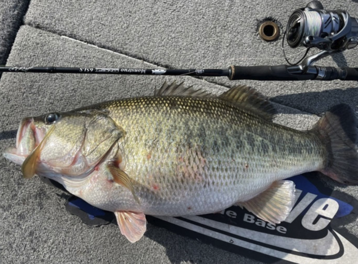 ツララ】ミドストにオススメのピーター監修ロッド「モンストロ