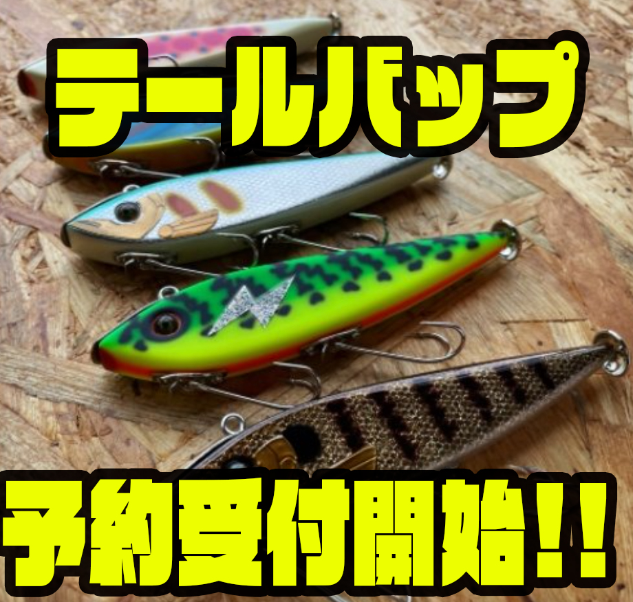 ハンドサム テールバップ