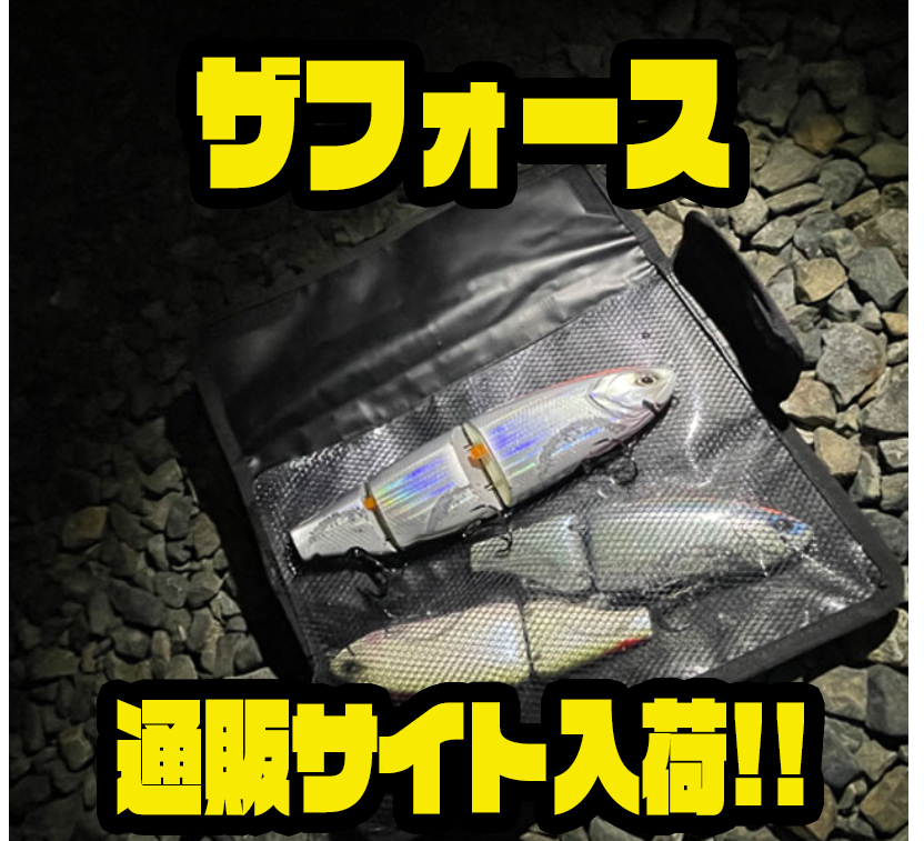 【ビックベイトまとめ売り】　リップ、テール有り リーニア】リップやテールも収納可能なビッグベイトケース