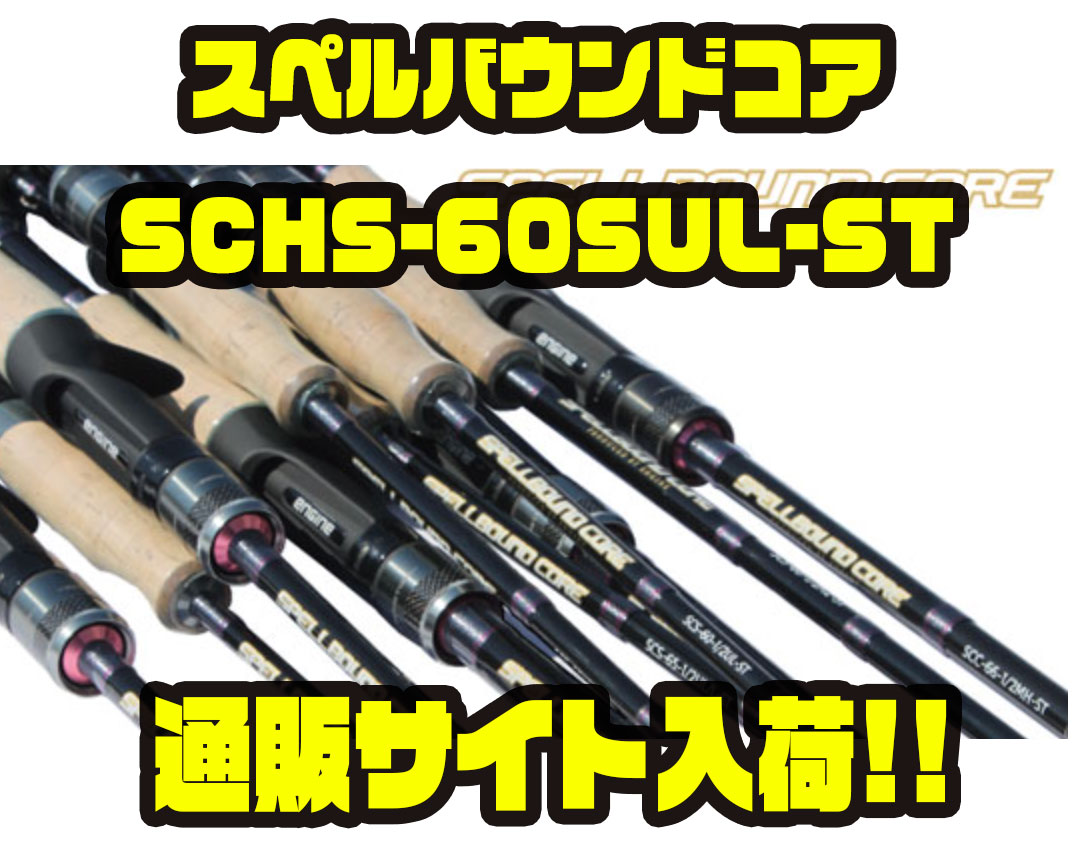エンジン】繊細なティップを採用したDS専用ロッド