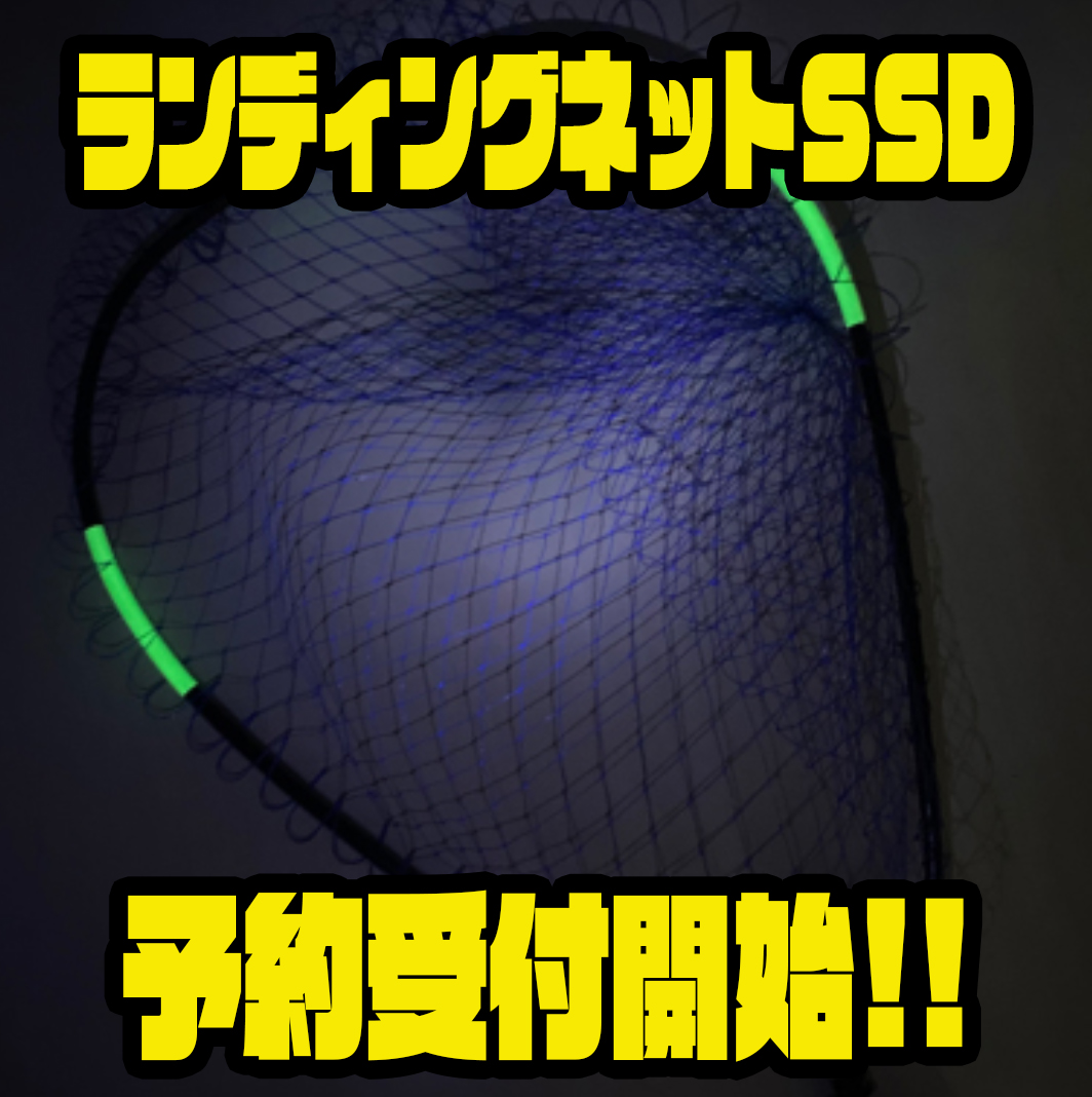 テイルウォーク (Tailwalk) 玉網 LANDING NET (ランディングネット