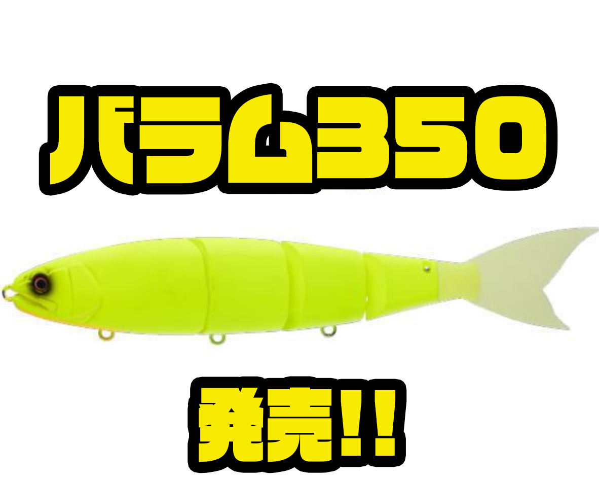 バラム350 オンドリャーチャート 新品未使用