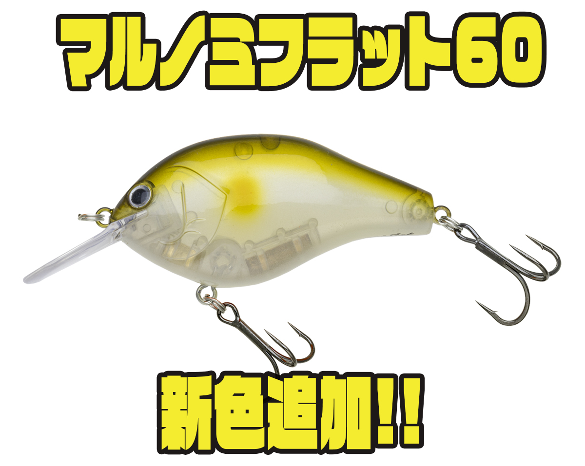 グラベルワギーとマルノミフラット