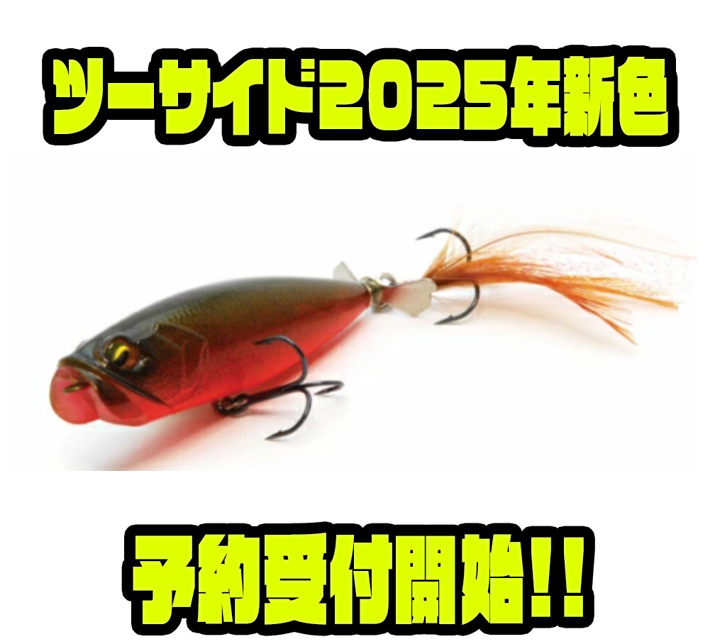 レイドジャパン　トップウォーター　セット売り 送料無料・美品『レイドジャパン ツーサイド 3個セット』RAID