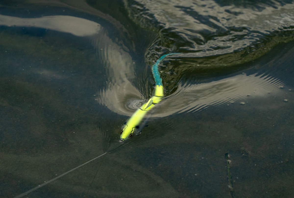  JAVALLON HARD 150 MAMBA 