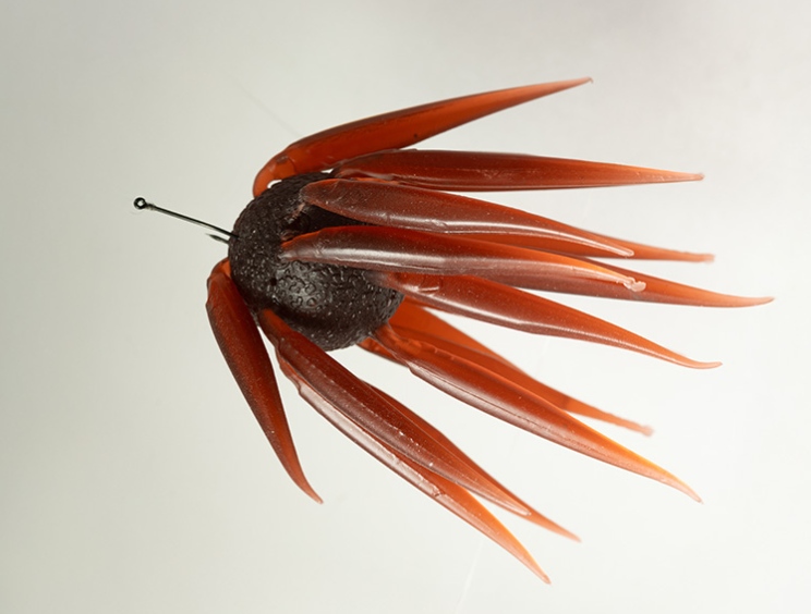 スイミング時には魚がボールを追うように追尾。小魚がエサを取り合っているような動きを演出。