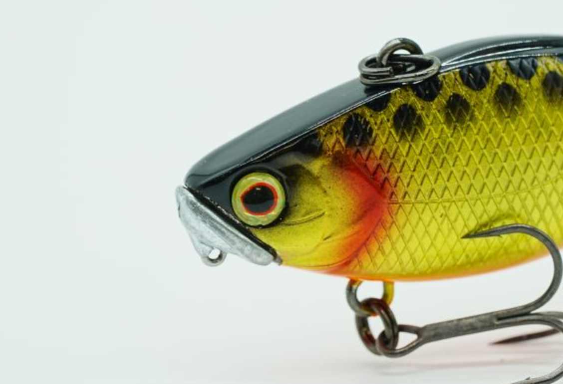 DSTYLE×ジャッカル TN50 TypeD RS