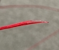 20220116151413