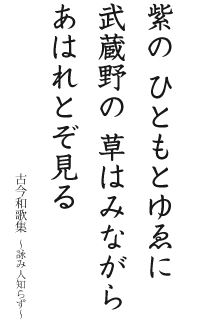 f:id:basuroman:20200601235956j:plain