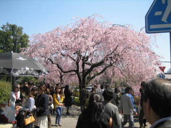20120408132101