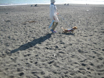 20120505160134
