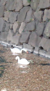 f:id:bat99:20100206141546j:image f:id:bat99:20100206141546j:image