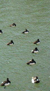 f:id:bat99:20100206141701j:image f:id:bat99:20100206141701j:image